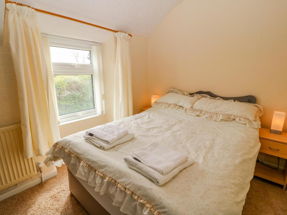 Tir Bedw Villa Ederyn Dış mekan fotoğraf